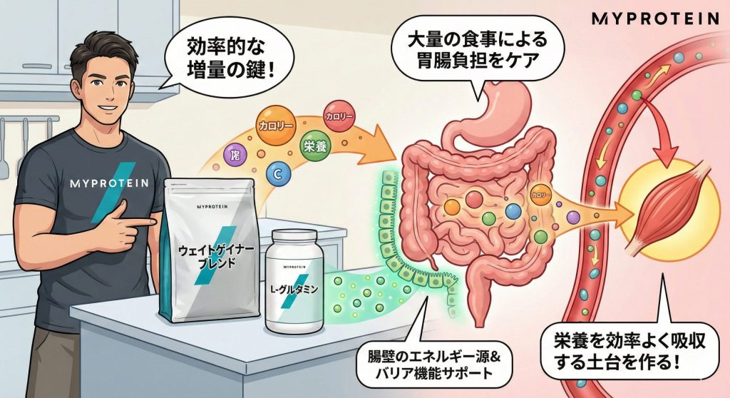 マイプロテイン　細身の男性にオススメ
